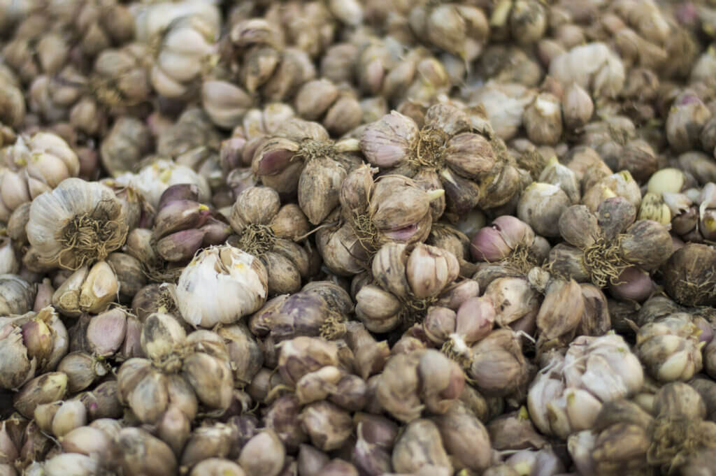 À la Recherche – Ilhem Ben Jaballah